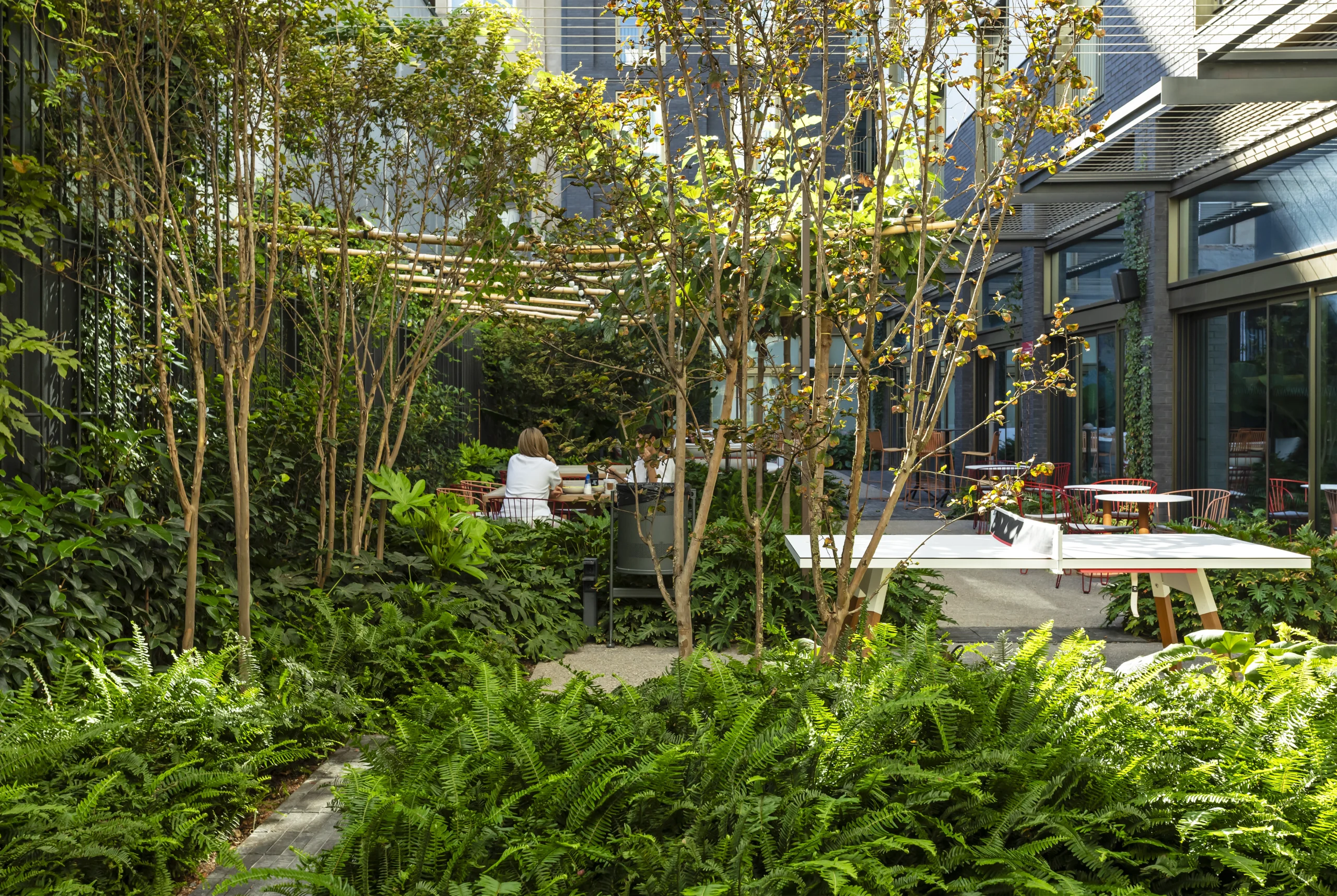 filosofia botanica obra finalizada